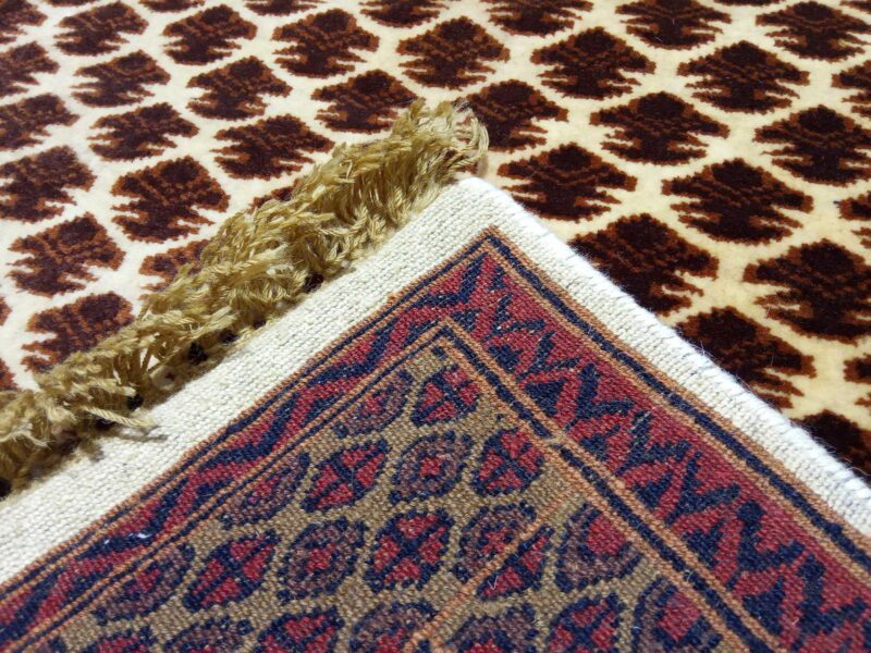3×5 feet Hand Knotted Wool Rug Lichi White - Image 6