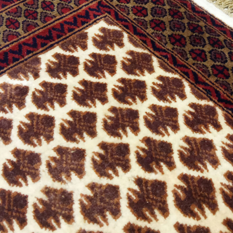 3×5 feet Hand Knotted Wool Rug Lichi White - Image 4