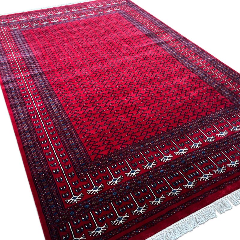 6x9 ft Hand Knotted Wool Rug Red Parda - Image 9