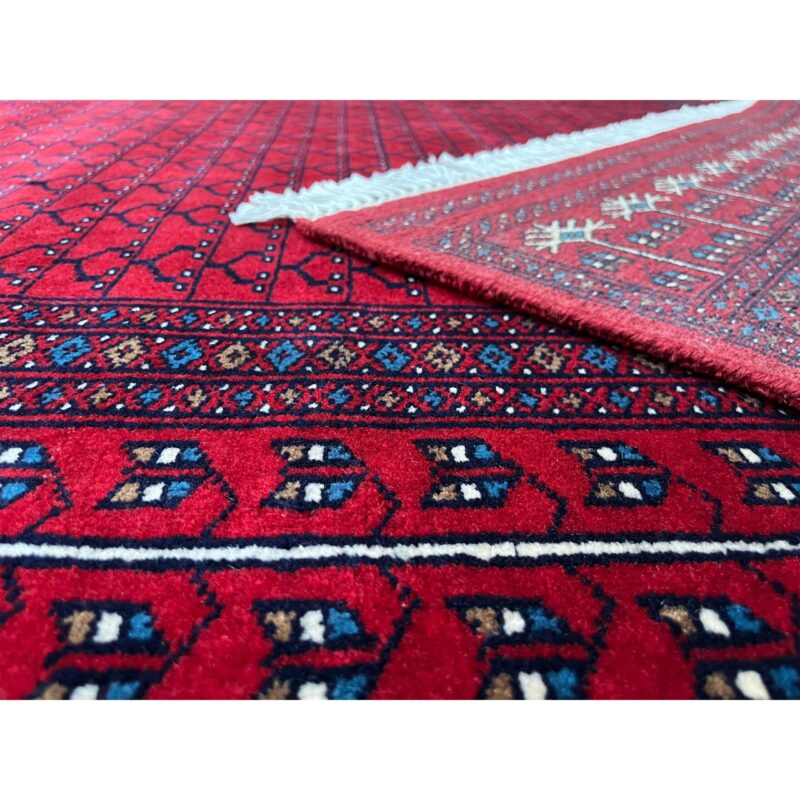 6x9 ft Hand Knotted Wool Rug Red Parda - Image 5