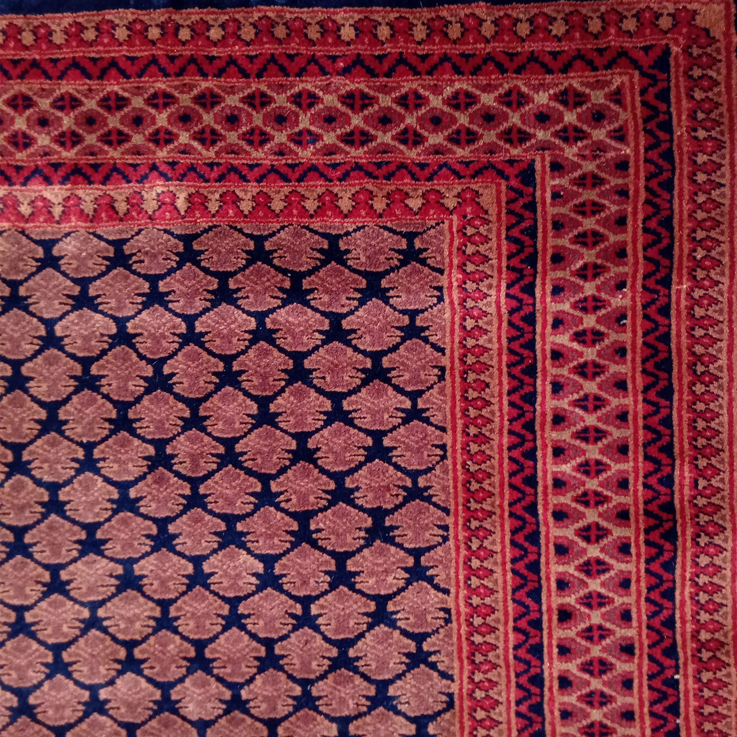 5×7 Feet Wool Black Hand Knotted Lichi Rug - Image 3