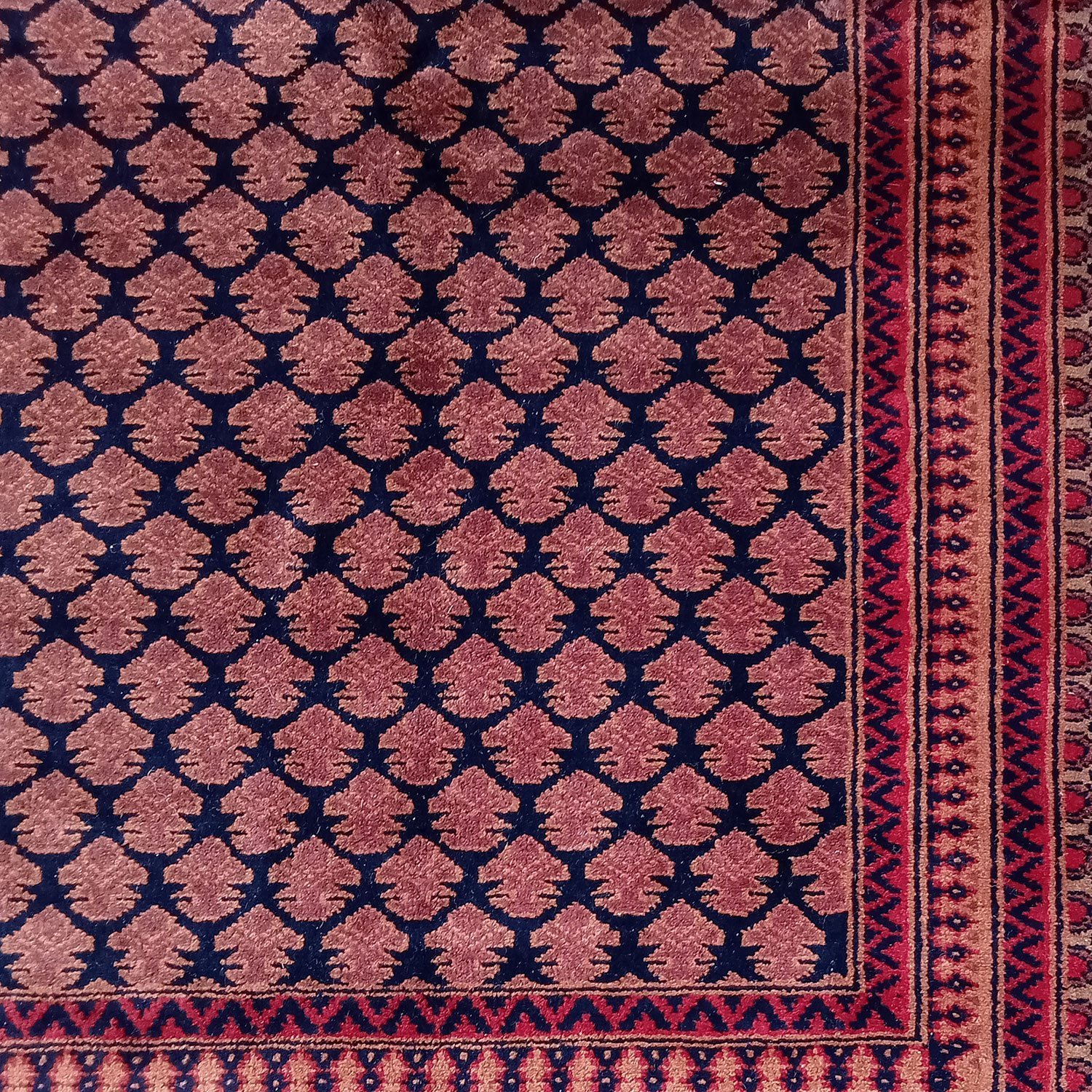6x9 Feet Handmade Wool Rug Royal Black Lichi Hand Knotted Rug Traditional Luxury - Image 5